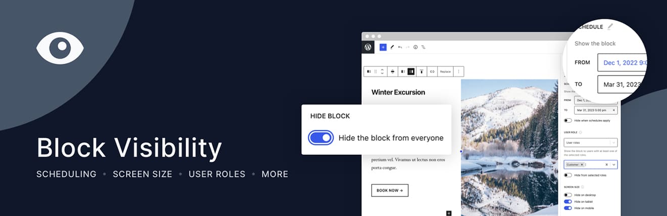 Block Visibility Plugin Banner